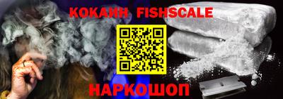 крисы Кингисепп