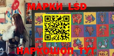 крисы Кингисепп