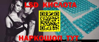 крисы Кингисепп