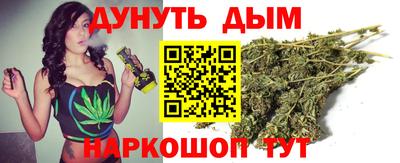 крисы Кингисепп