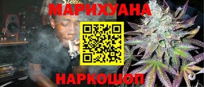 крисы Кингисепп