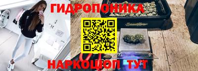 jwh Кимры