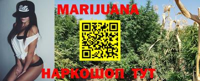 индика Рыбинск