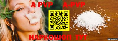 крисы Кингисепп