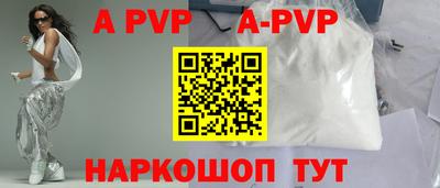 крисы Кингисепп