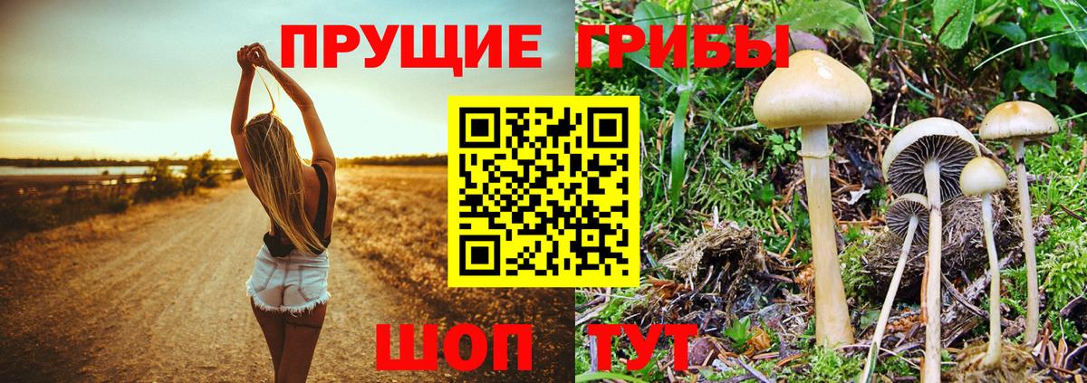 Псилоцибиновые грибы Magic Shrooms  Вход с VPN  закладка  Галлюциногенные грибы MAGIC MUSHROOMS  Коммунар 