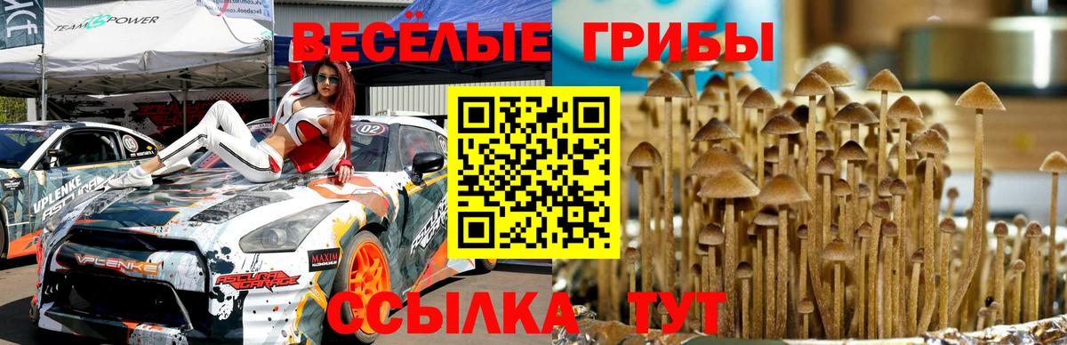 Псилоцибиновые грибы Magic Shrooms Коммунар